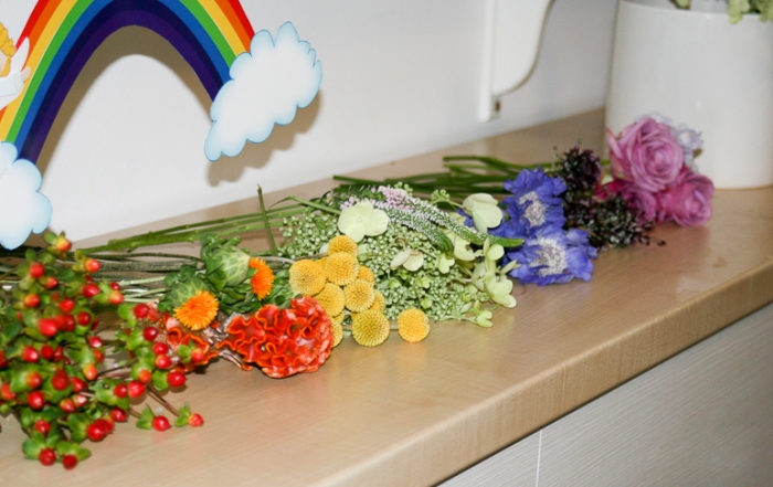 Botez Somewhere Over The Rainbow</br>aprilie 5th, 2016