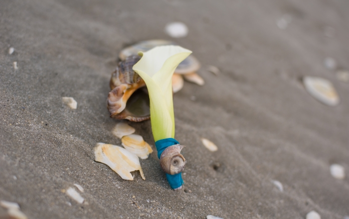 On the beach</br> februarie 25th, 2016